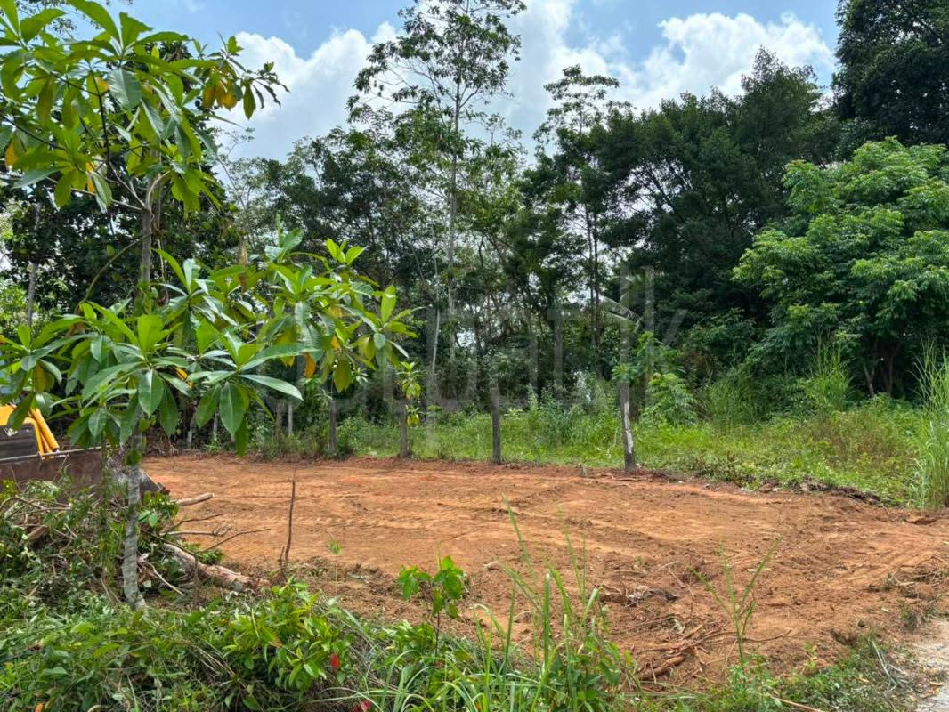 Commercial Land for Sale in Horana