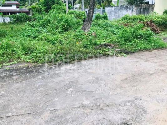 premium-listing-image