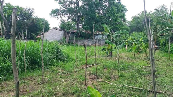 Residential Land for Sale in Sella Kataragama