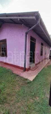 premium-listing-image