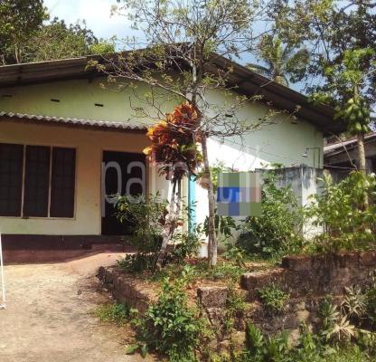 House for Sale in Radawana