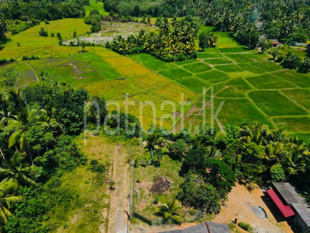 Residential Land for Sale in Horana