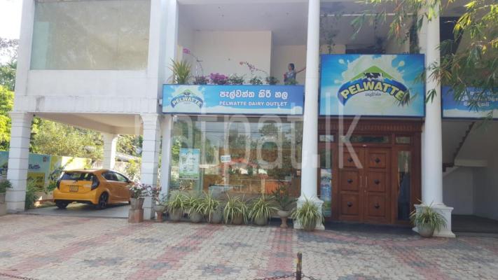 premium-listing-image