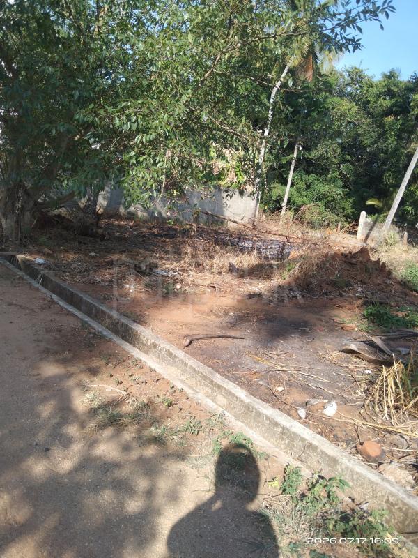 Residential Land for Sale in Buttala