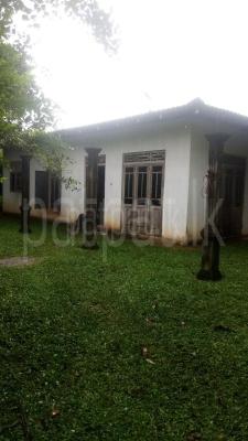 premium-listing-image