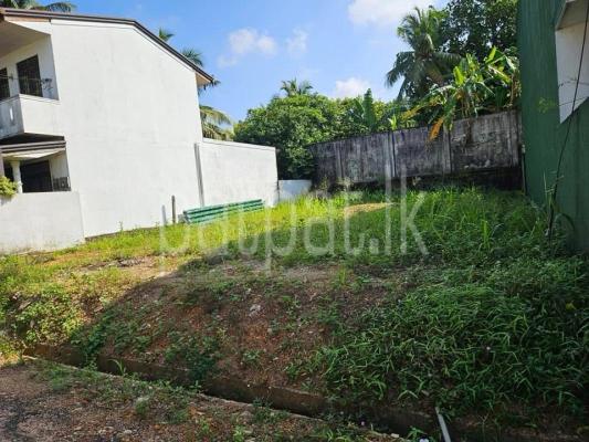 premium-listing-image