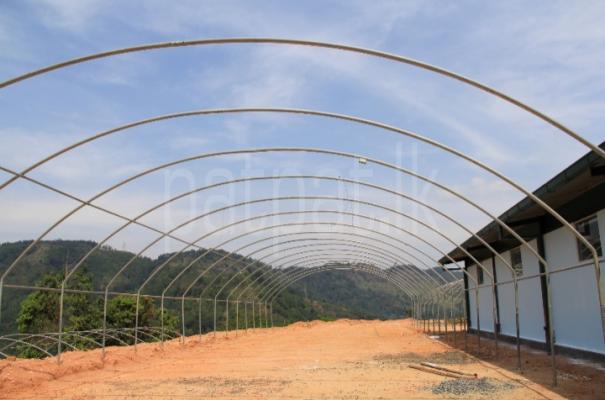 Green House Galvanized Tubes