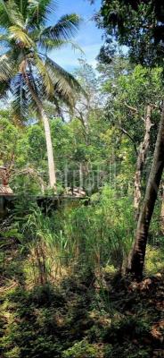 Residential Land for Sale in Sella Kataragama