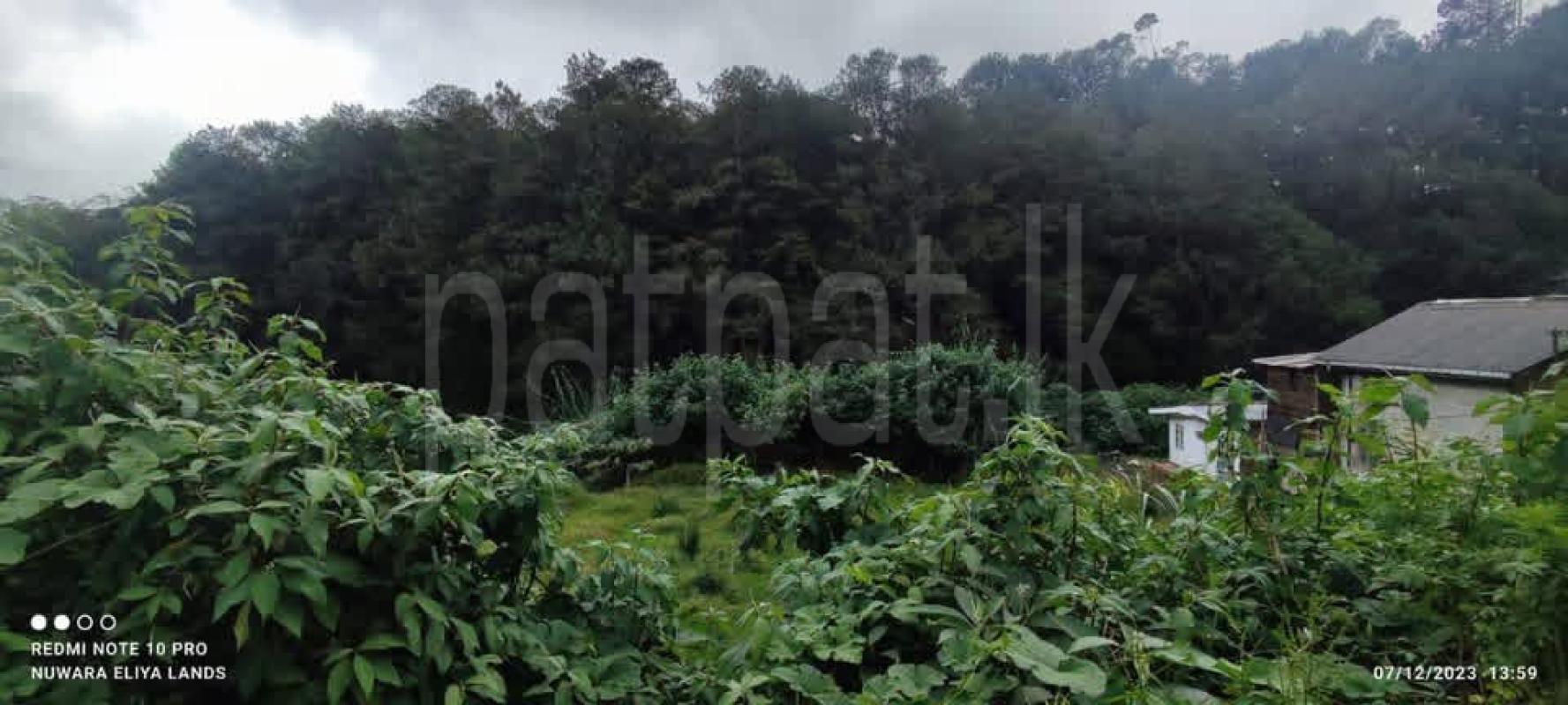 Agricultural Land for Sale in Nuwara Eliya