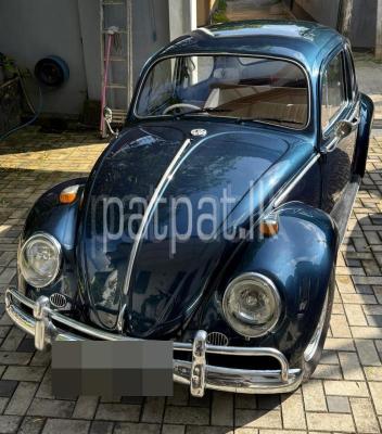 premium-listing-image