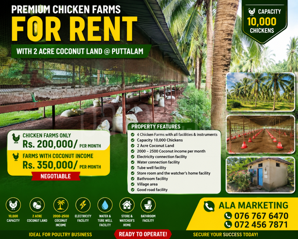 Commercial Land for Rent in Puttalam