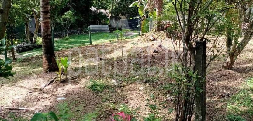 premium-listing-image