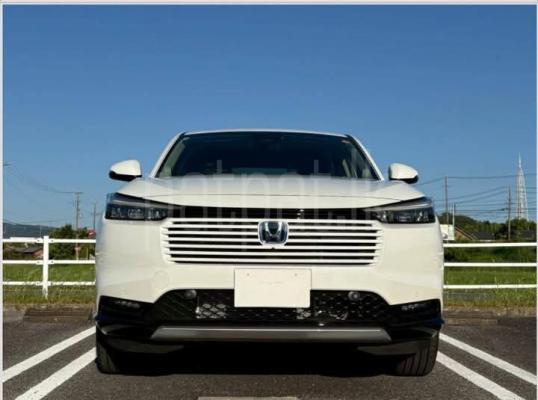 premium-listing-image