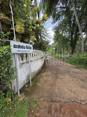 premium-listing-image