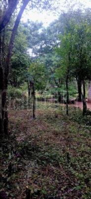 premium-listing-image