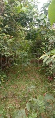 Agricultural Land for Sale in Weligama