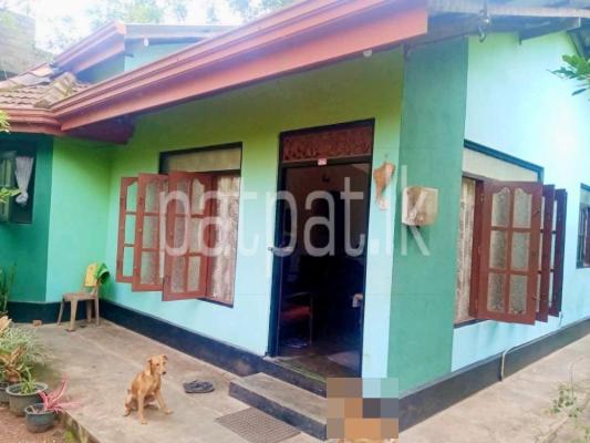 premium-listing-image