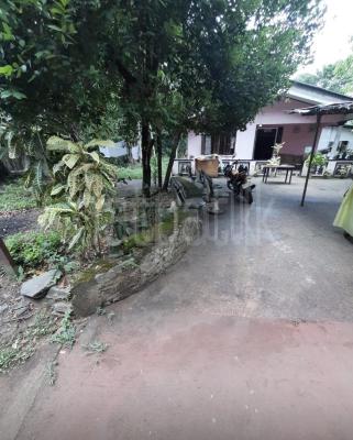 premium-listing-image