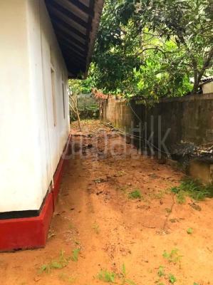 premium-listing-image