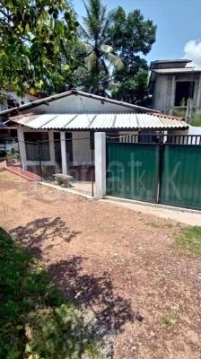 premium-listing-image