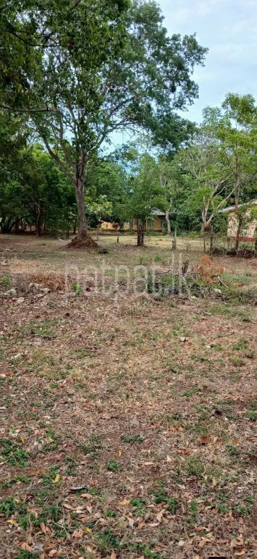 Residential Land for Sale in Kataragama