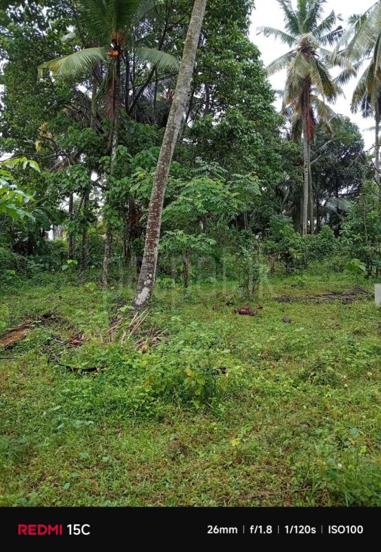 Residential Land for Sale in Veyangoda