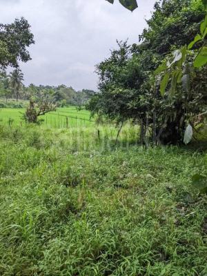 premium-listing-image