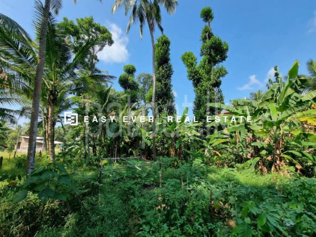 Residential Land for Sale in Yakkala