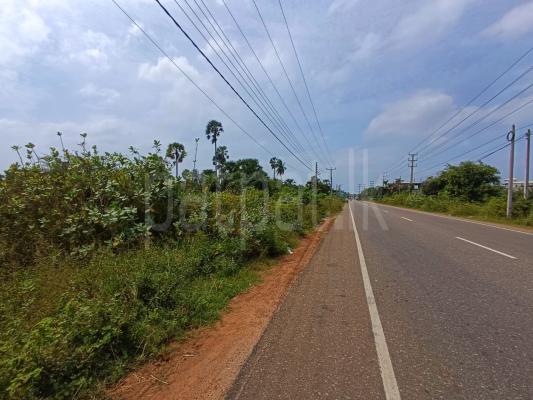 Commercial Land for Sale in Jaffna
