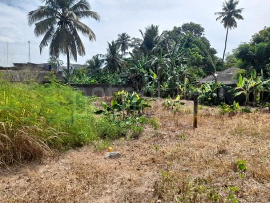 Residential Land for Sale in Dehiwala