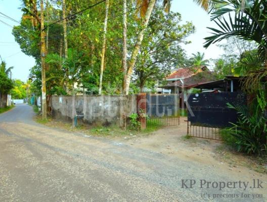 premium-listing-image