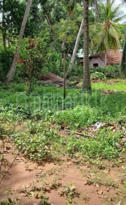 premium-listing-image