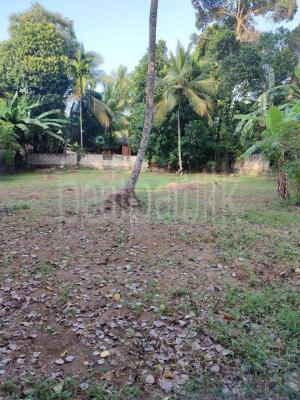 Agricultural Land for Sale in Kurunegala