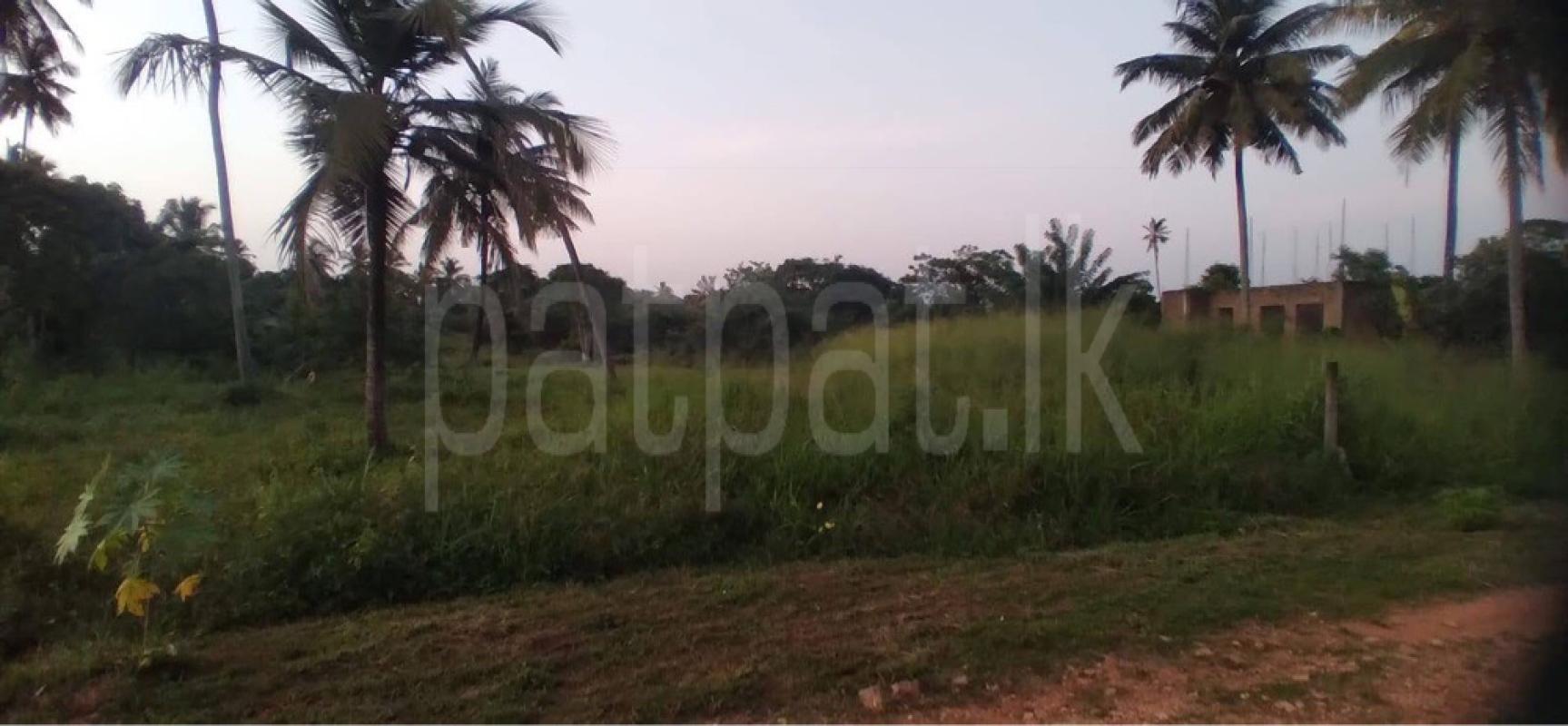 Residential Land for Sale in Chilaw