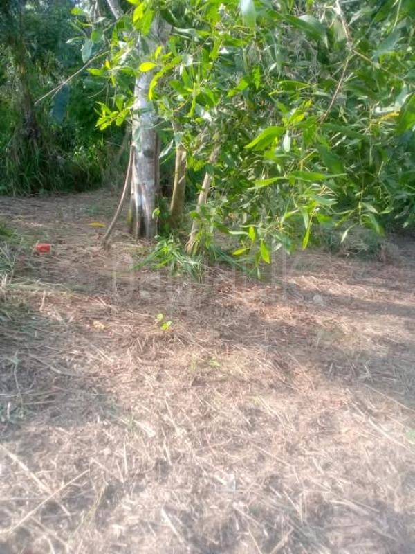 Commercial Land for Sale in Matara