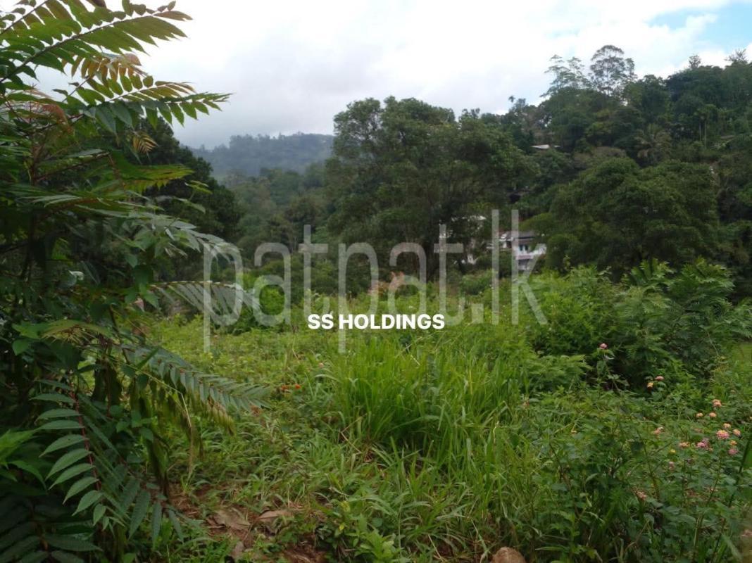 Commercial Land for Sale in Nuwara Eliya