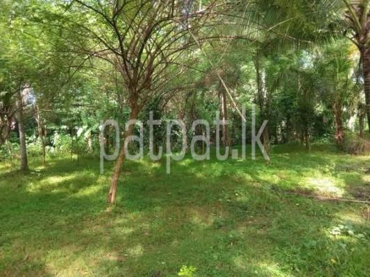 Agricultural Land for Sale in Marandagahamula