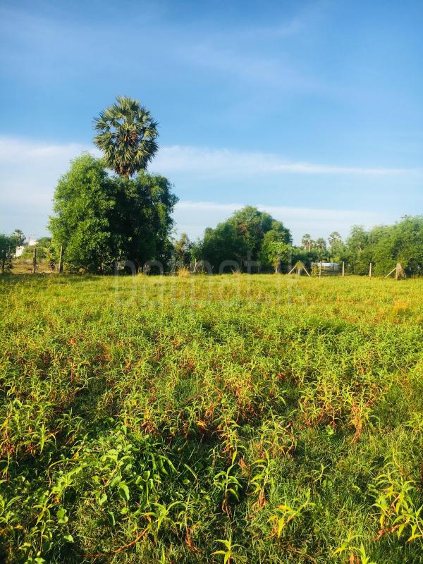 Residential Land for Sale in Valaichenai