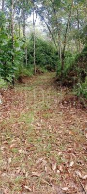 premium-listing-image