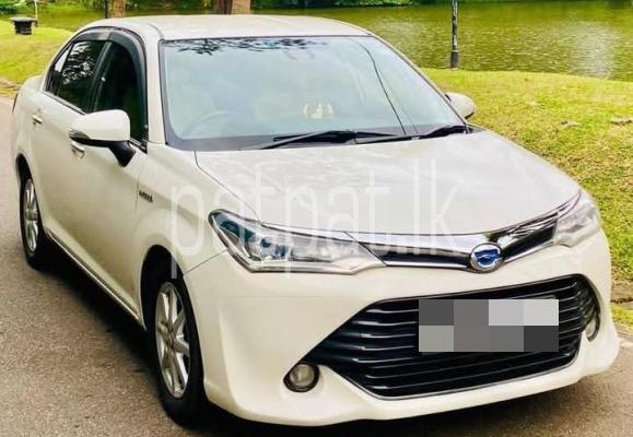 premium-listing-image