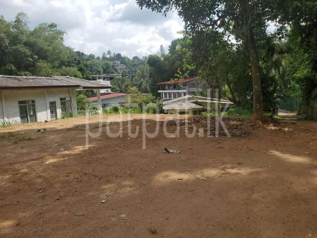 Agricultural Land for Sale in Peradeniya