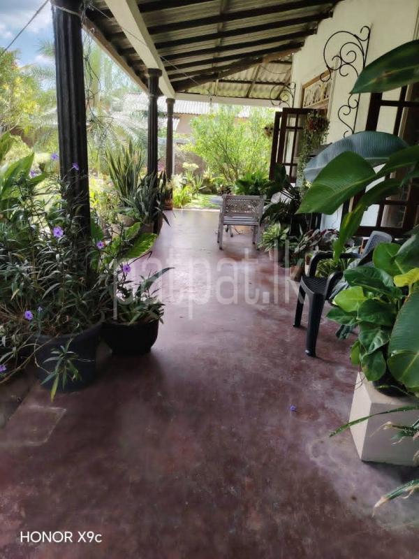 House for Sale in Giriulla