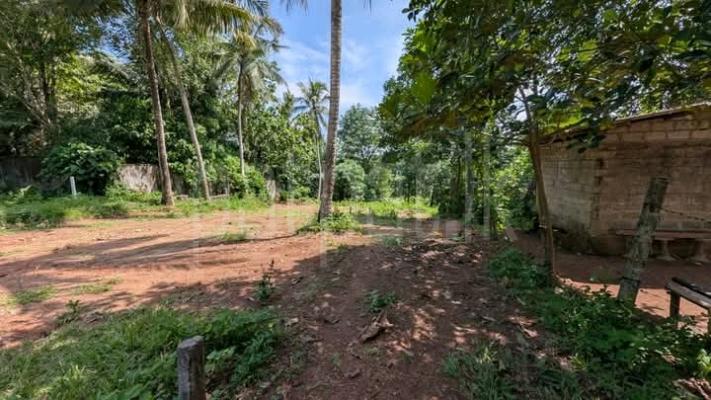 Commercial Land for Sale in Biyagama