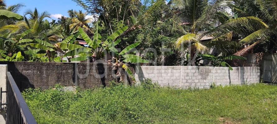 premium-listing-image