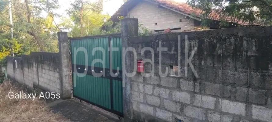 premium-listing-image