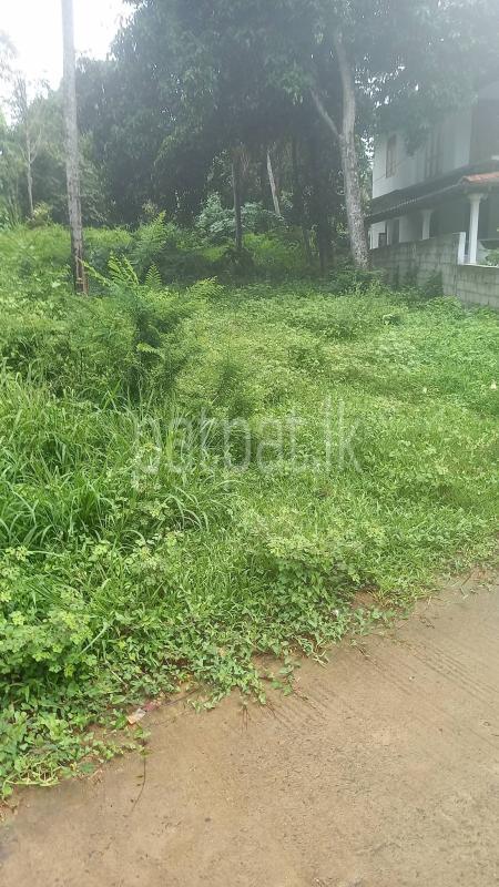 Commercial Land for Sale in Weeraketiya