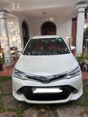 premium-listing-image