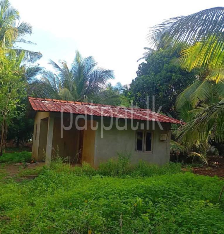 Agricultural Land for Sale in Puttalam