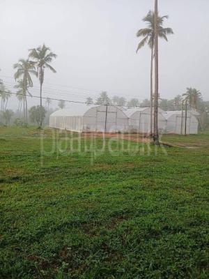 premium-listing-image