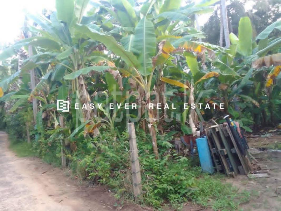 Residential Land for Sale in Hikkaduwa